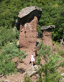 Грибы Сотеры
