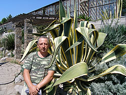 Оранжерея кактусов